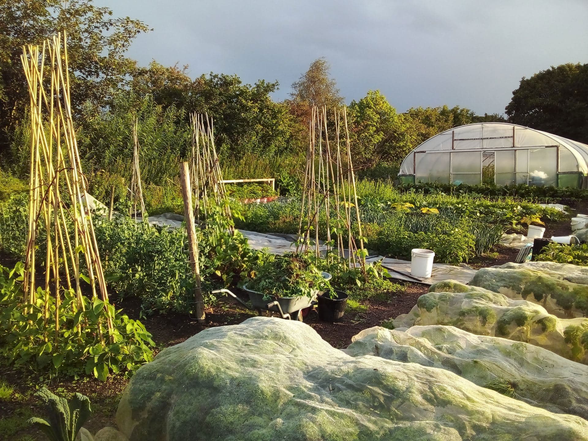 The Vale Grocer