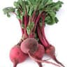 Beetroot: Bunched