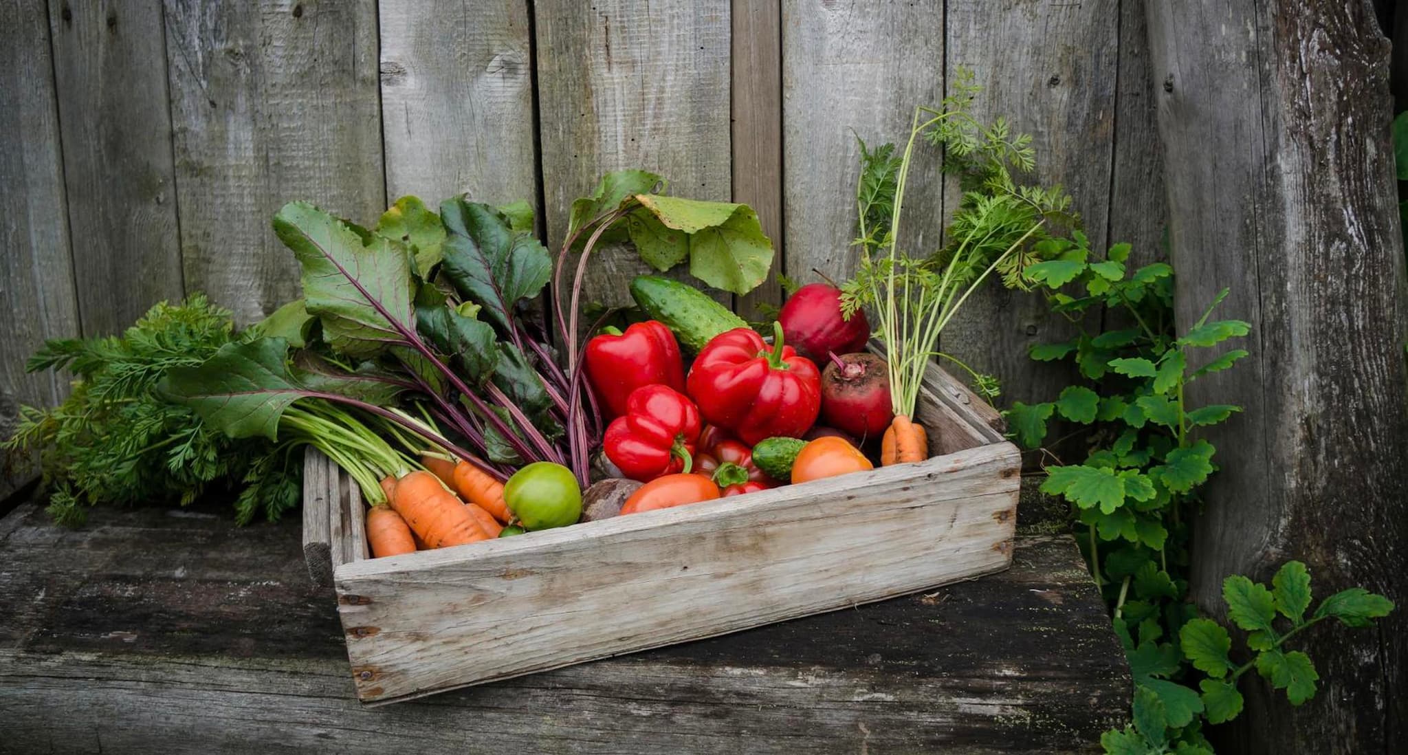 Veg Boxes
